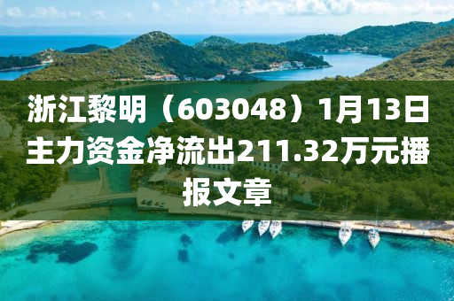 浙江黎明（603048）1月13日主力資金凈流出211.32萬(wàn)元播報(bào)文章