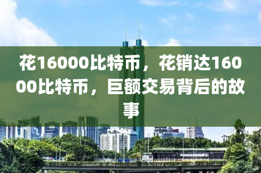 花16000比特幣，花銷達(dá)16000比特幣，巨額交易背后的故事