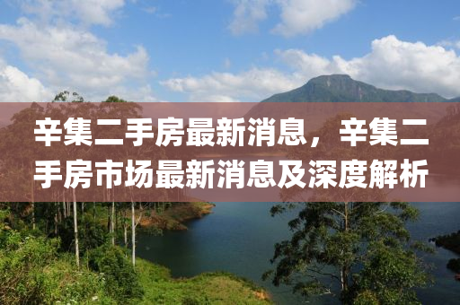 辛集二手房最新消息，辛集二手房市場最新消息及深度解析