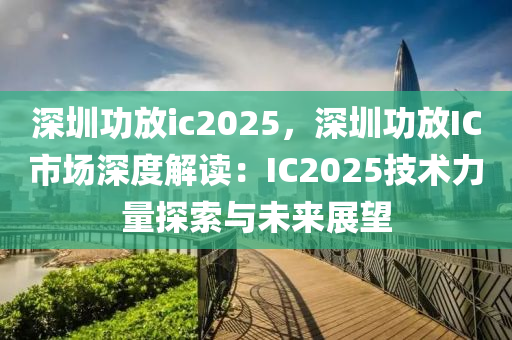 深圳功放ic2025，深圳功放IC市場深度解讀：IC2025技術力量探索與未來展望