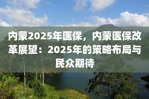 內(nèi)蒙2025年醫(yī)保，內(nèi)蒙醫(yī)保改革展望：2025年的策略布局與民眾期待