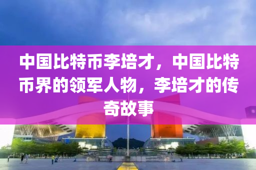 中國(guó)比特幣李培才，中國(guó)比特幣界的領(lǐng)軍人物，李培才的傳奇故事