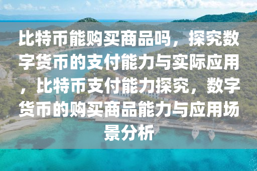 比特幣能購(gòu)買商品嗎，探究數(shù)字貨幣的支付能力與實(shí)際應(yīng)用，比特幣支付能力探究，數(shù)字貨幣的購(gòu)買商品能力與應(yīng)用場(chǎng)景分析