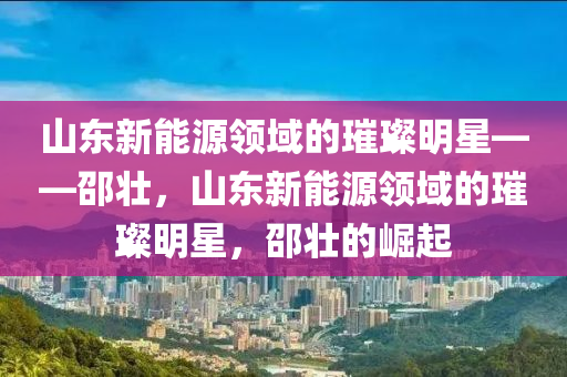 山東新能源領域的璀璨明星——邵壯，山東新能源領域的璀璨明星，邵壯的崛起