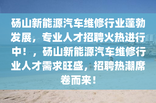 碭山新能源汽車維修行業(yè)蓬勃發(fā)展，專業(yè)人才招聘火熱進(jìn)行中！，碭山新能源汽車維修行業(yè)人才需求旺盛，招聘熱潮席卷而來！