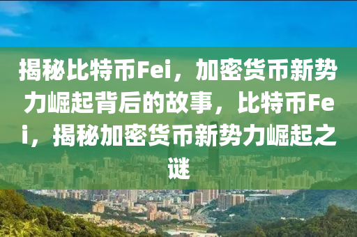 揭秘比特幣Fei，加密貨幣新勢(shì)力崛起背后的故事，比特幣Fei，揭秘加密貨幣新勢(shì)力崛起之謎