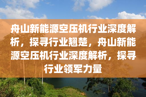 舟山新能源空壓機(jī)行業(yè)深度解析，探尋行業(yè)翹楚，舟山新能源空壓機(jī)行業(yè)深度解析，探尋行業(yè)領(lǐng)軍力量