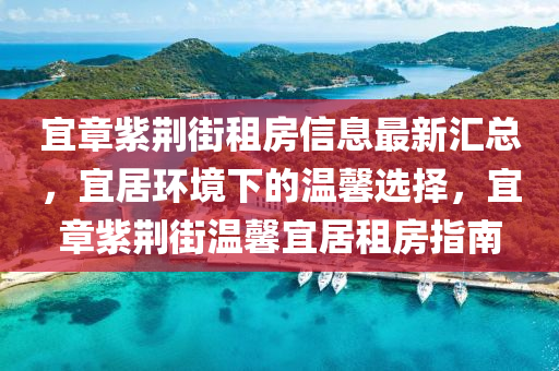 宜章紫荊街租房信息最新匯總，宜居環(huán)境下的溫馨選擇，宜章紫荊街溫馨宜居租房指南