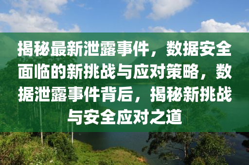 揭秘最新泄露事件，數據安全面臨的新挑戰(zhàn)與應對策略，數據泄露事件背后，揭秘新挑戰(zhàn)與安全應對之道