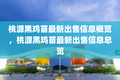 桃源黑雞苗最新出售信息概覽，桃源黑雞苗最新出售信息總覽