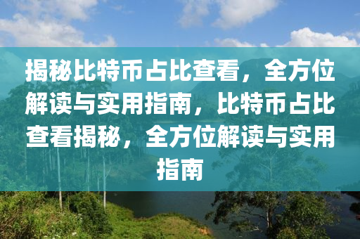 揭秘比特幣占比查看，全方位解讀與實用指南，比特幣占比查看揭秘，全方位解讀與實用指南