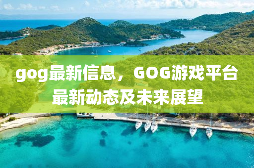 gog最新信息，GOG游戲平臺(tái)最新動(dòng)態(tài)及未來展望