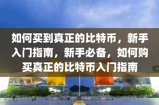 如何買到真正的比特幣，新手入門指南，新手必備，如何購買真正的比特幣入門指南