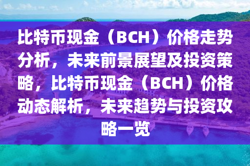 比特幣現(xiàn)金（BCH）價格走勢分析，未來前景展望及投資策略，比特幣現(xiàn)金（BCH）價格動態(tài)解析，未來趨勢與投資攻略一覽