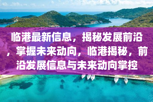 臨港最新信息，揭秘發(fā)展前沿，掌握未來動向，臨港揭秘，前沿發(fā)展信息與未來動向掌控