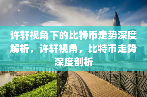 許軒視角下的比特幣走勢深度解析，許軒視角，比特幣走勢深度剖析