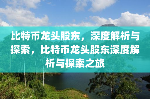 比特幣龍頭股東，深度解析與探索，比特幣龍頭股東深度解析與探索之旅