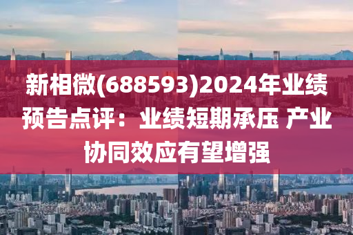 新相微(688593)2024年業(yè)績預告點評：業(yè)績短期承壓 產業(yè)協(xié)同效應有望增強