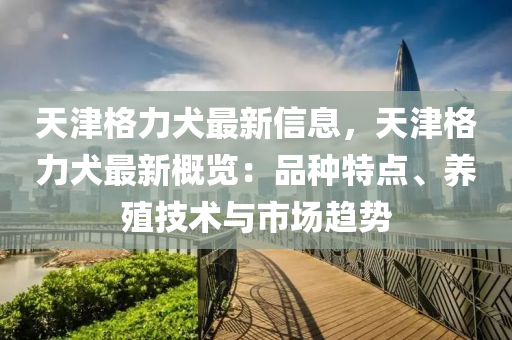 天津格力犬最新信息，天津格力犬最新概覽：品種特點、養(yǎng)殖技術(shù)與市場趨勢