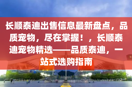 長順泰迪出售信息最新盤點(diǎn)，品質(zhì)寵物，盡在掌握！，長順泰迪寵物精選——品質(zhì)泰迪，一站式選購指南