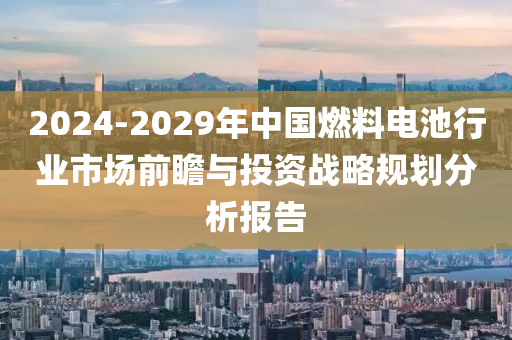 2024-2029年中國(guó)燃料電池行業(yè)市場(chǎng)前瞻與投資戰(zhàn)略規(guī)劃分析報(bào)告