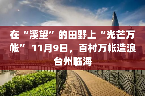 在“溪望”的田野上“光芒萬帳” 11月9日，百村萬帳造浪臺州臨海