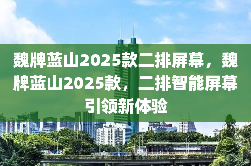 魏牌藍(lán)山2025款二排屏幕，魏牌藍(lán)山2025款，二排智能屏幕引領(lǐng)新體驗(yàn)