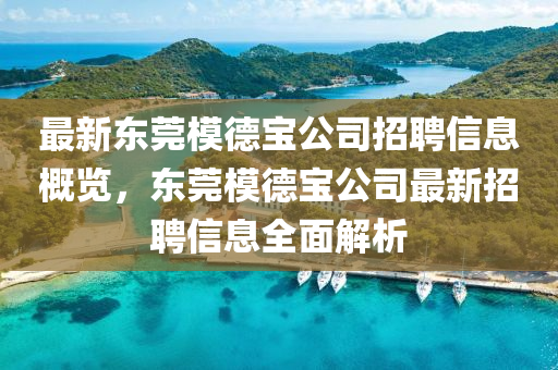 最新東莞模德寶公司招聘信息概覽，東莞模德寶公司最新招聘信息全面解析