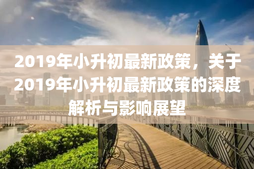 2019年小升初最新政策，關(guān)于2019年小升初最新政策的深度解析與影響展望