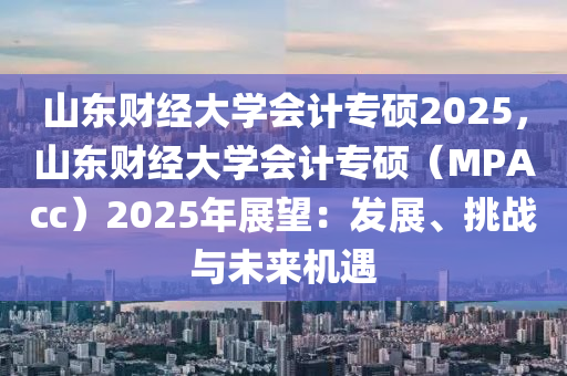 山東財(cái)經(jīng)大學(xué)會(huì)計(jì)專碩2025，山東財(cái)經(jīng)大學(xué)會(huì)計(jì)專碩（MPAcc）2025年展望：發(fā)展、挑戰(zhàn)與未來(lái)機(jī)遇