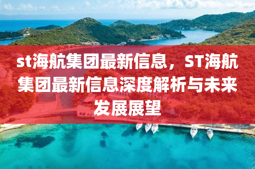 st海航集團(tuán)最新信息，ST海航集團(tuán)最新信息深度解析與未來發(fā)展展望