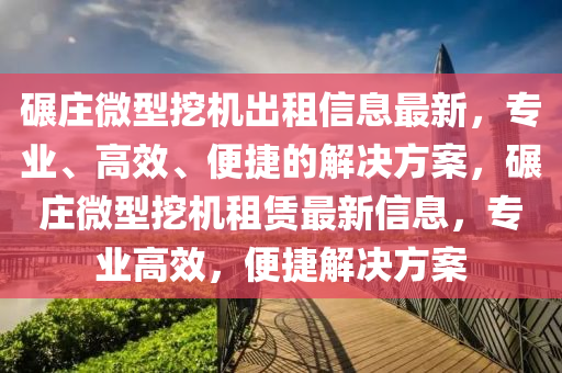 碾莊微型挖機出租信息最新，專業(yè)、高效、便捷的解決方案，碾莊微型挖機租賃最新信息，專業(yè)高效，便捷解決方案