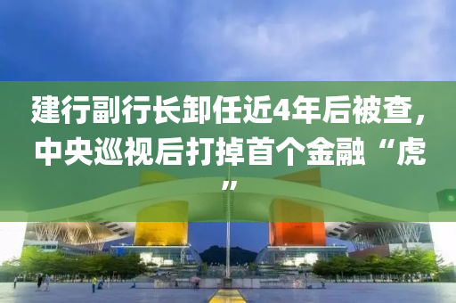 建行副行長卸任近4年后被查，中央巡視后打掉首個金融“虎”