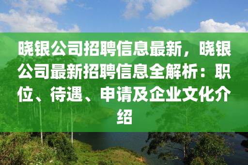 曉銀公司招聘信息最新，曉銀公司最新招聘信息全解析：職位、待遇、申請(qǐng)及企業(yè)文化介紹