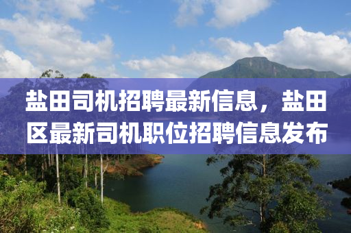 鹽田司機(jī)招聘最新信息，鹽田區(qū)最新司機(jī)職位招聘信息發(fā)布