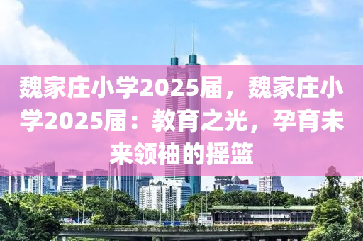 魏家莊小學(xué)2025屆，魏家莊小學(xué)2025屆：教育之光，孕育未來領(lǐng)袖的搖籃