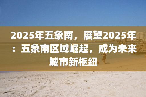 2025年五象南，展望2025年：五象南區(qū)域崛起，成為未來城市新樞紐