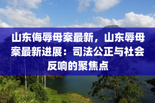 山東侮辱母案最新，山東辱母案最新進(jìn)展：司法公正與社會(huì)反響的聚焦點(diǎn)