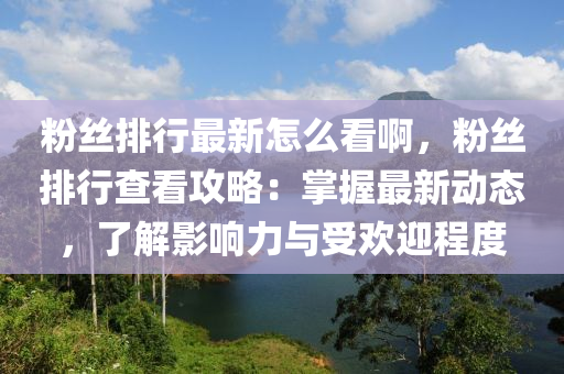 粉絲排行最新怎么看啊，粉絲排行查看攻略：掌握最新動(dòng)態(tài)，了解影響力與受歡迎程度