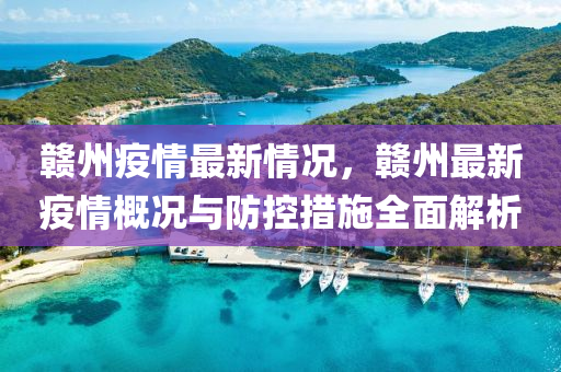 贛州疫情最新情況，贛州最新疫情概況與防控措施全面解析