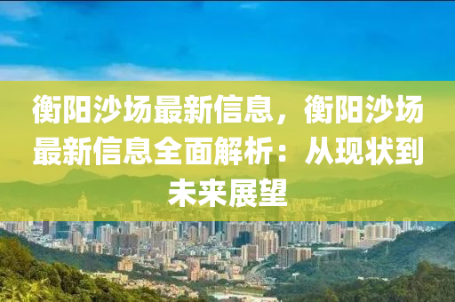 衡陽沙場最新信息，衡陽沙場最新信息全面解析：從現(xiàn)狀到未來展望