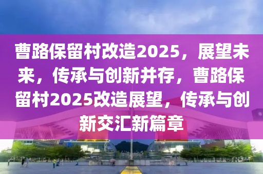 曹路保留村改造2025，展望未來，傳承與創(chuàng)新并存，曹路保留村2025改造展望，傳承與創(chuàng)新交匯新篇章