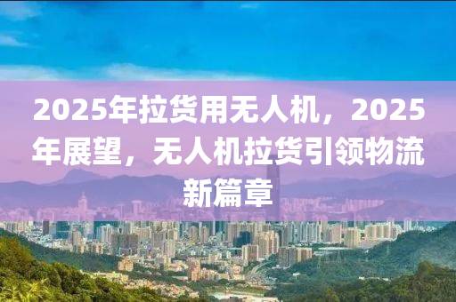 2025年拉貨用無人機，2025年展望，無人機拉貨引領物流新篇章