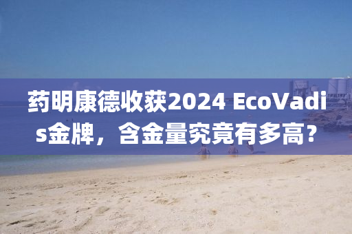 藥明康德收獲2024 EcoVadis金牌，含金量究竟有多高？