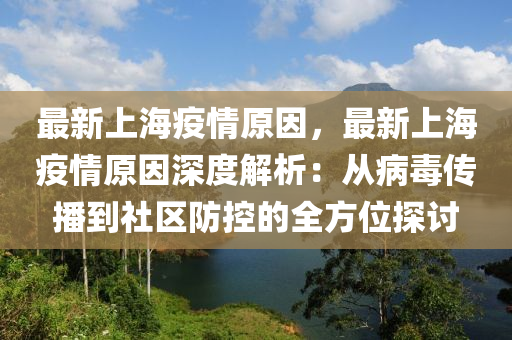 最新上海疫情原因，最新上海疫情原因深度解析：從病毒傳播到社區(qū)防控的全方位探討