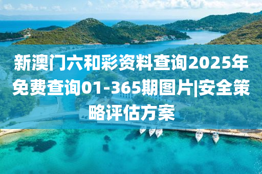 新澳門六和彩資料查詢2025年免費(fèi)查詢01-365期圖片|安全策略評(píng)估方案