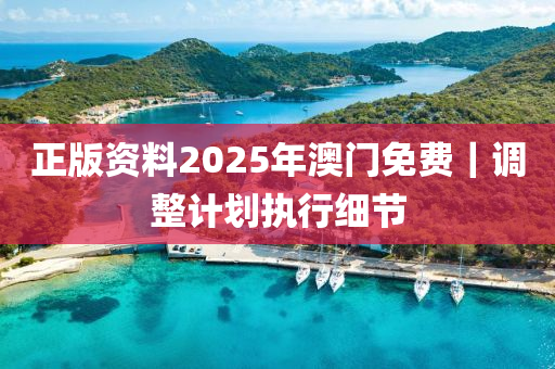 正版資料2025年澳門免費｜調(diào)整計劃執(zhí)行細(xì)節(jié)