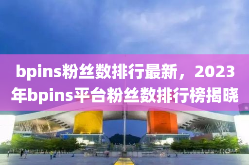 bpins粉絲數(shù)排行最新，2023年bpins平臺(tái)粉絲數(shù)排行榜揭曉