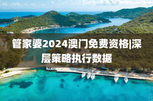 管家婆2024澳門免費(fèi)資格|深層策略執(zhí)行數(shù)據(jù)