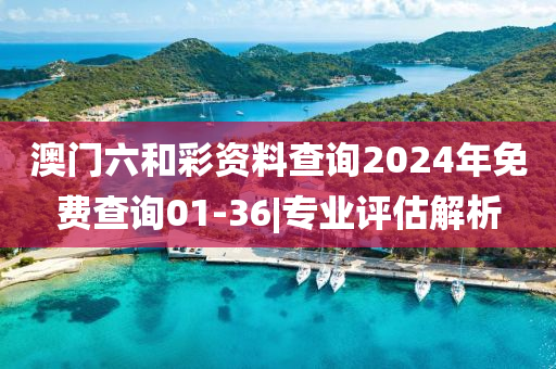 澳門六和彩資料查詢2024年免費(fèi)查詢01-36|專業(yè)評(píng)估解析